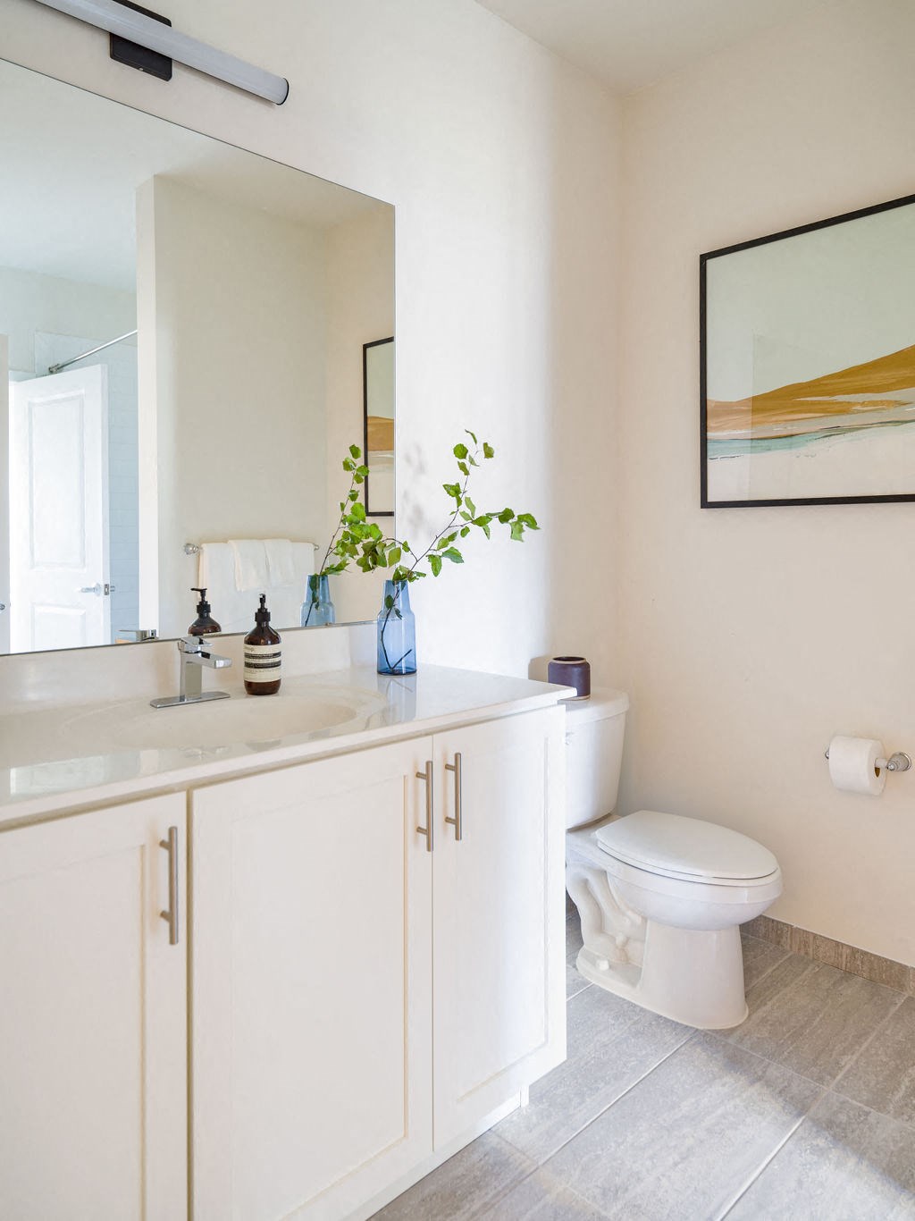 a bathroom with a toilet and a sink and a mirror