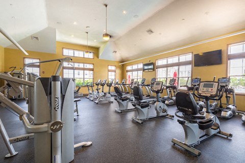 A gym with a row of exercise bikes and a weight machine.