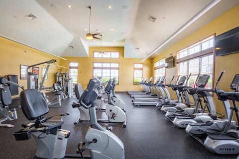 A gym with a row of treadmills and elliptical machines.