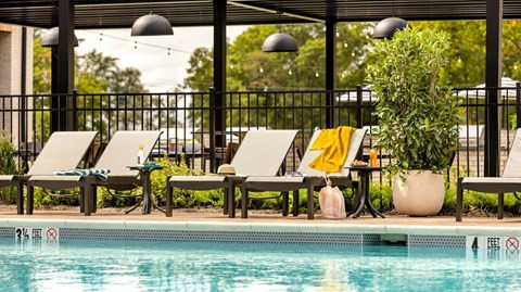A pool with chairs and a potted plant.