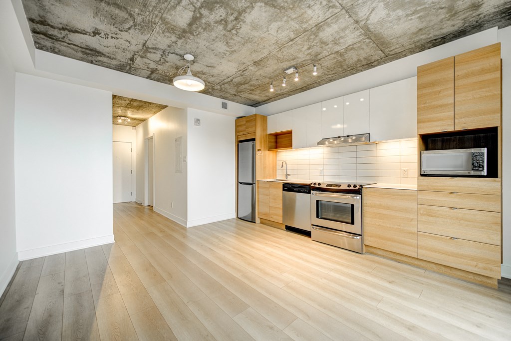 1770 Rue Joseph Manseau, Montreal - App 1503 (8)