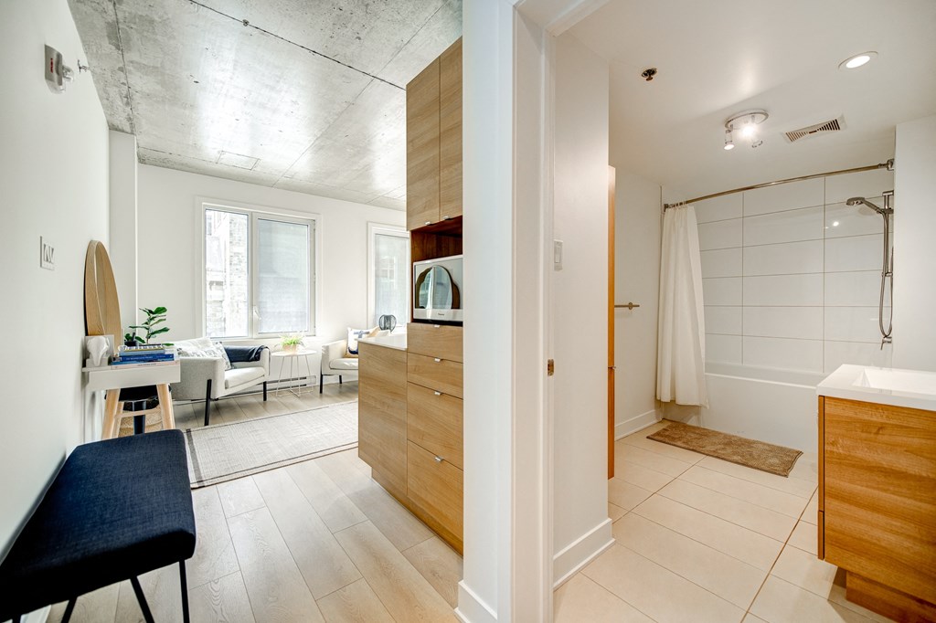 1770 Rue Joseph Manseau, Montreal - App 213 (2)