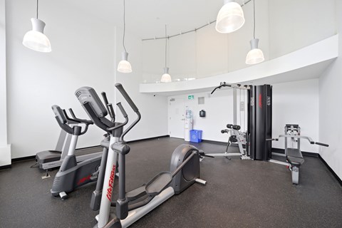 A gym with a treadmill, weights, and exercise equipment.