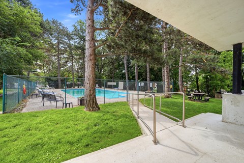 A pool surrounded by trees and a fence.