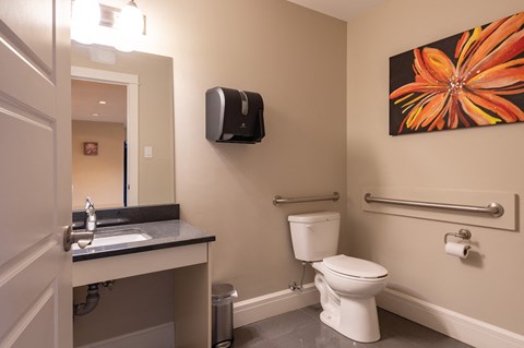 a bathroom with a toilet and a sink and a mirror