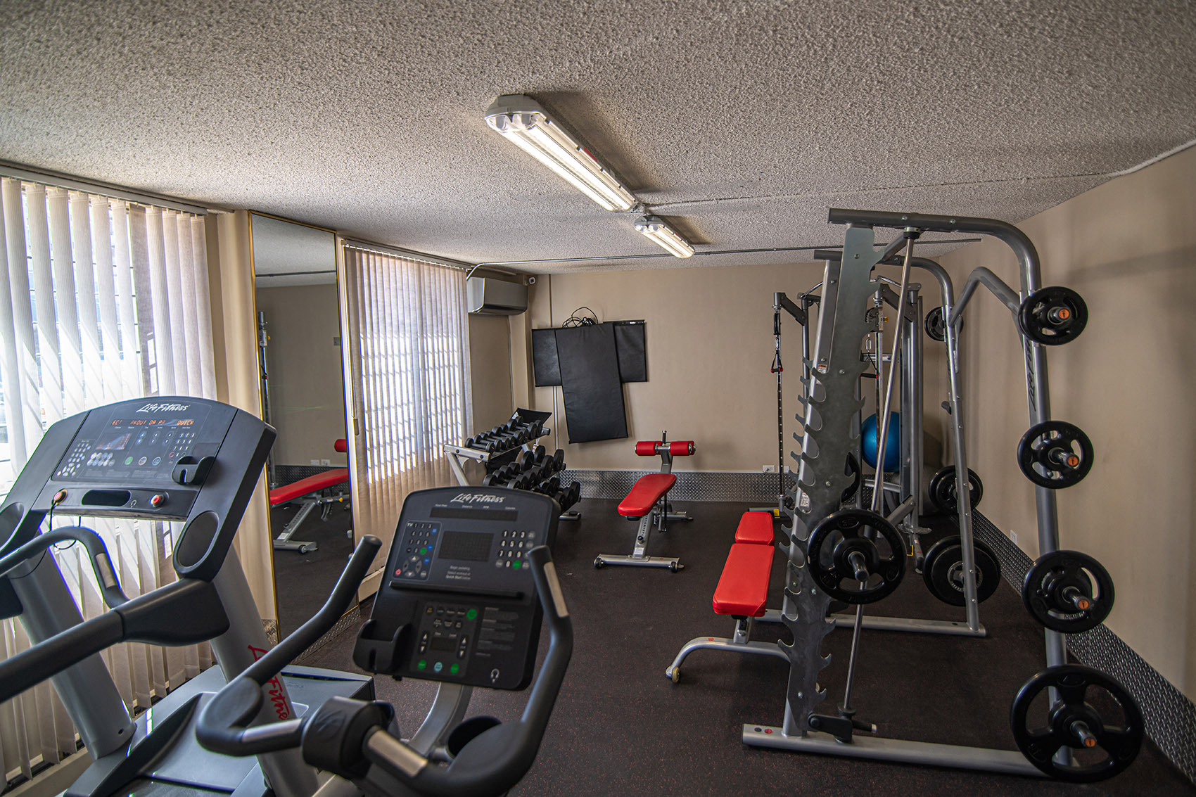 Squat machine and free weights.  Thumbnail click to zoom.