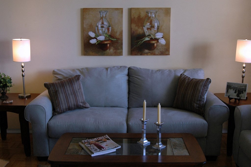 Living Room couch and coffee table. Thumbnail click to zoom.