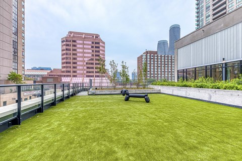 A grassy area with a bench in the middle of it.