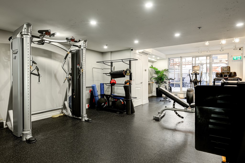 A gym with a variety of equipment including a squat rack, bench, and weights.