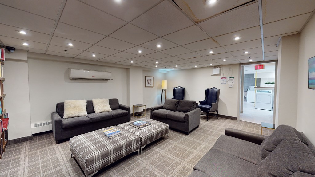 Library room with sofas