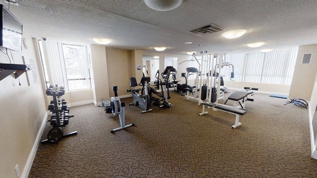 a gym with weights and cardio equipment in a room with windows