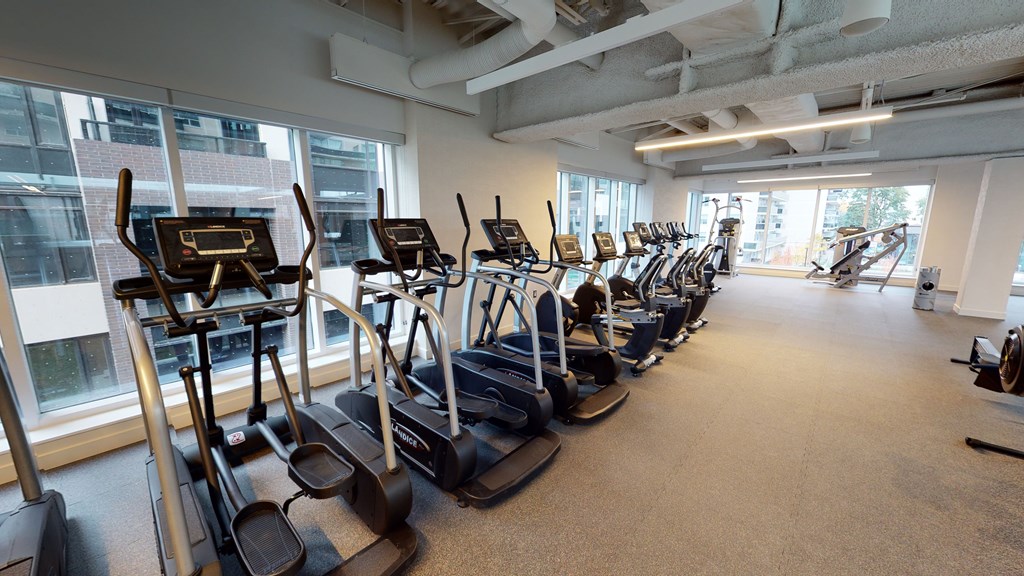 A gym with treadmills and elliptical machines.