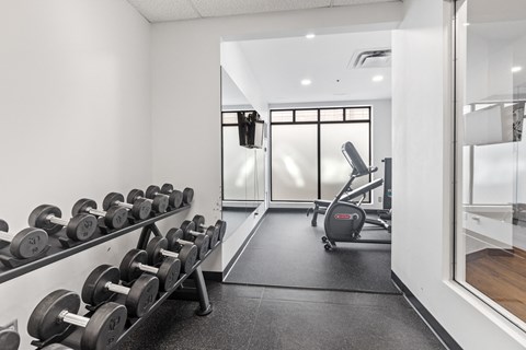 A gym with a row of dumbbells on the left and a treadmill on the right.