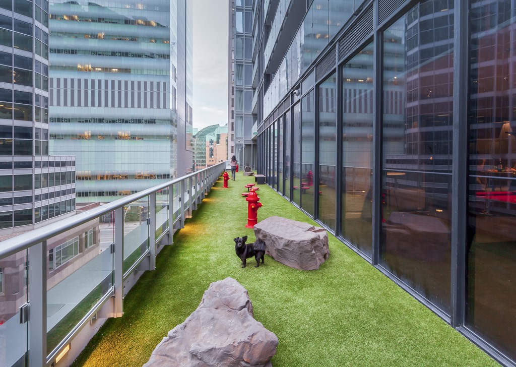 A dog is sitting on a rock next to a red fire hydrant on a grassy area.