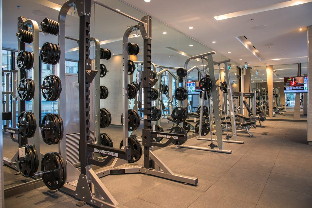A gym with a row of squat racks.