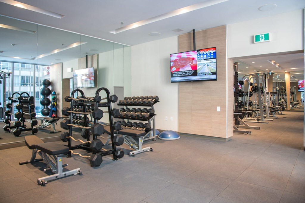 A gym with a variety of equipment including weights and a television.