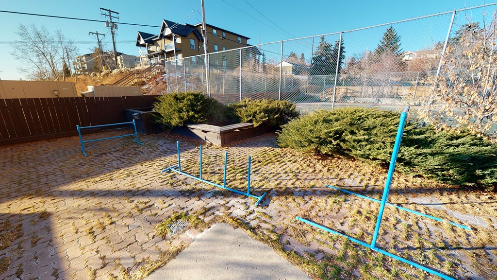 Stanley-Park-Dog-Run-2