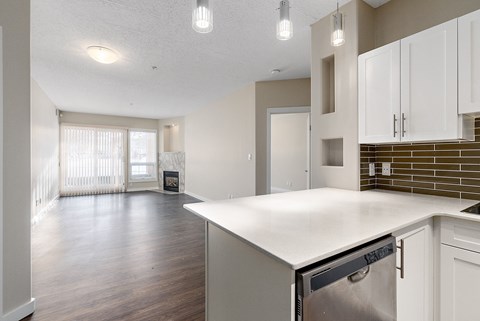 A kitchen with a white counter top and a dishwasher.