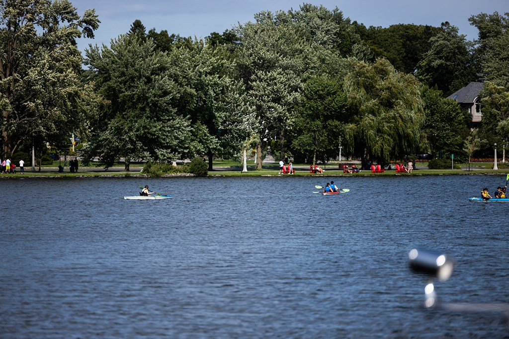people on boats on a lake in a park