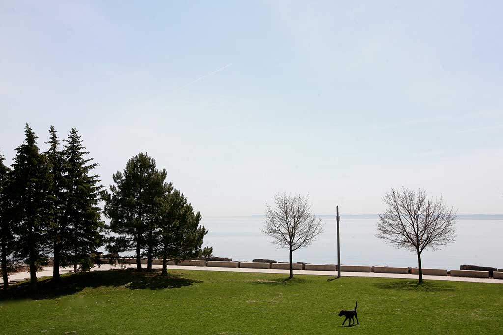 Lots of open community space for residents, a great place to relax.  Thumbnail click to zoom