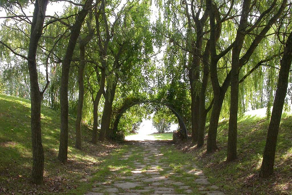 Serene forest paths.  Thumbnail click to zoom.