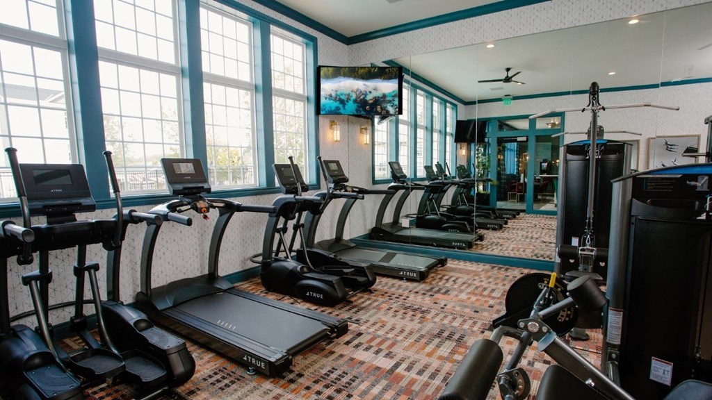 a room filled with lots of cardio machines and a flat screen tv
