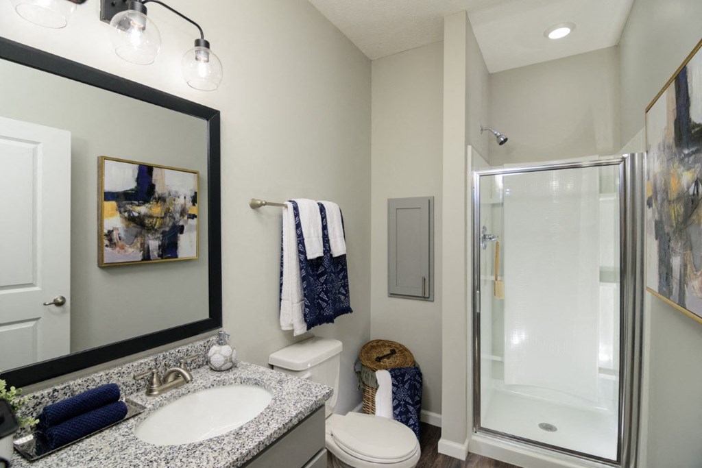 a bathroom with a shower sink and toilet and a mirror at Elan Park, Ohio, 43231