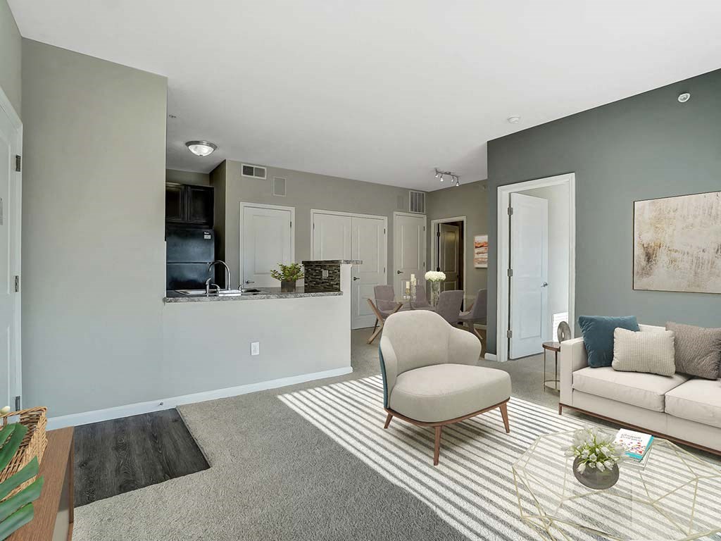 A living room with a grey carpet and a striped rug.