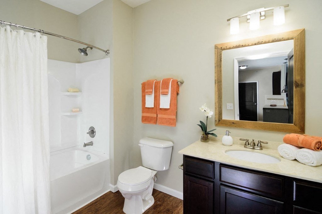 a bathroom with a toilet sink and a shower and a mirrorat Taylor House Apartments, Ohio, 43214