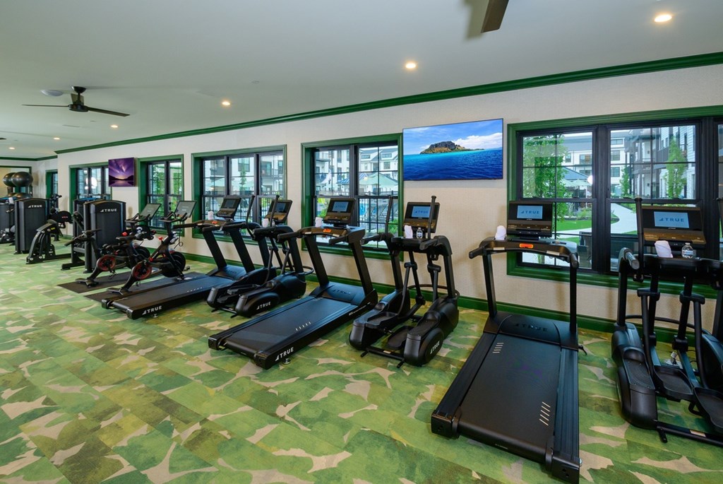 A gym with treadmills and exercise equipment.
