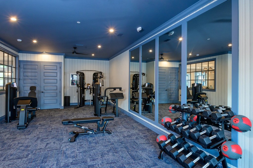 A gym with a variety of equipment including weights and a bench.
