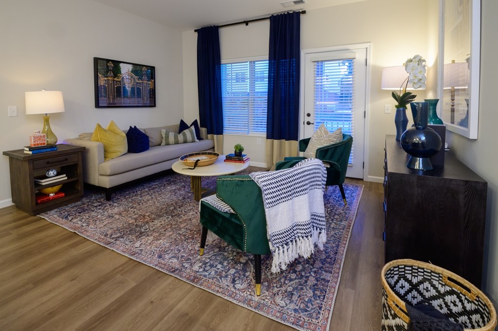 A living room with a couch, chair, and rug.
