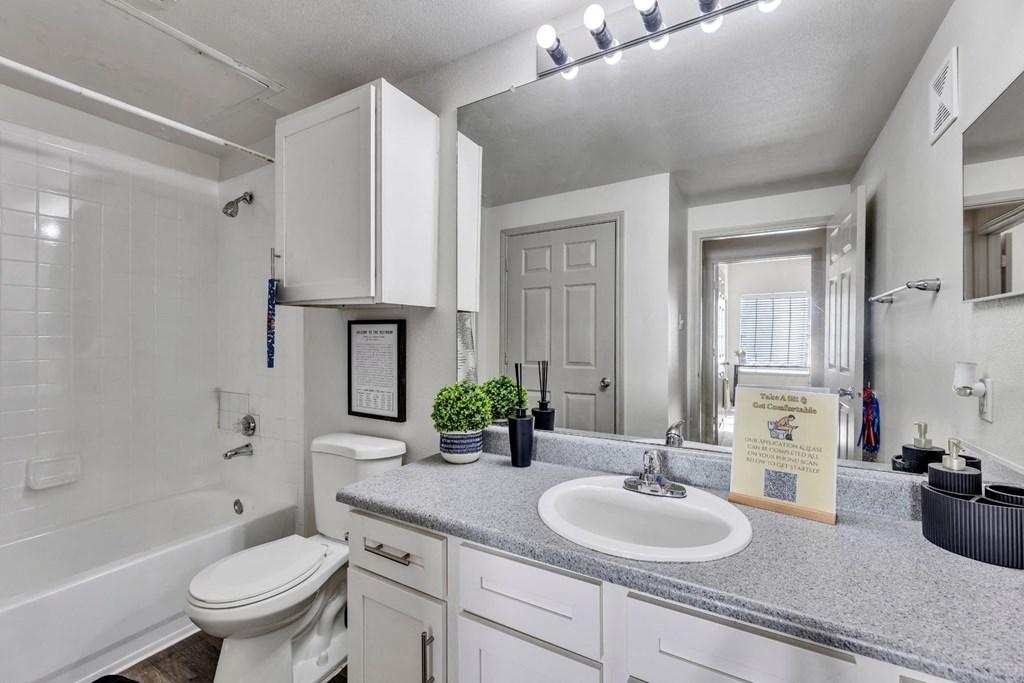 a bathroom with a sink and a toilet