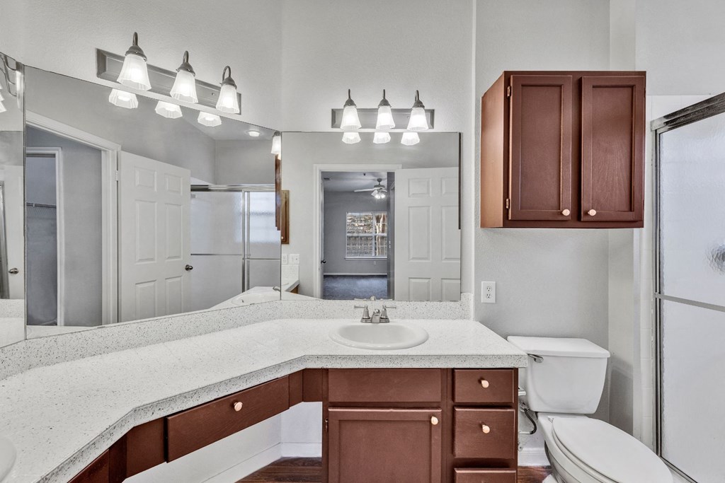 a bathroom with a sink and a toilet and a mirror