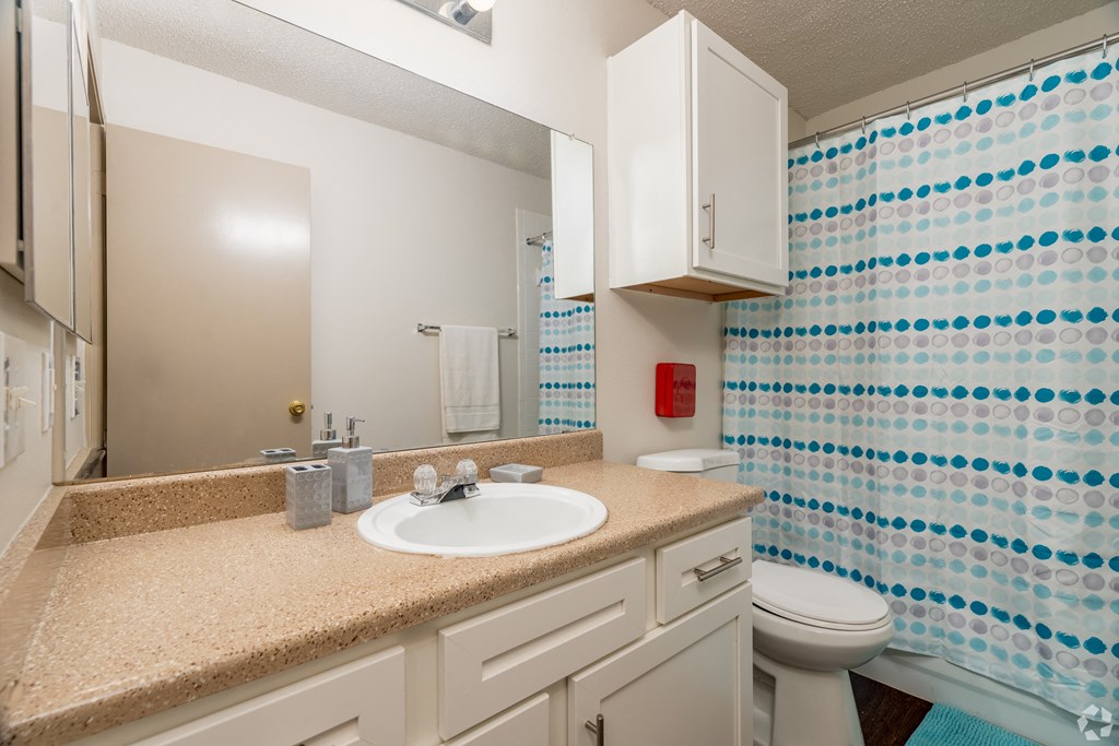 a bathroom with a sink and a toilet