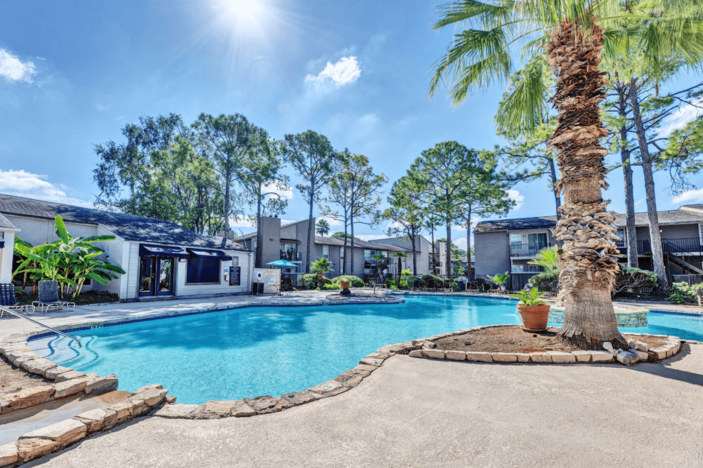 A palm tree stands next to a swimming pool in a sunny backyard.