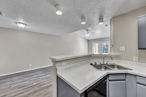 A kitchen with a sink and a window.