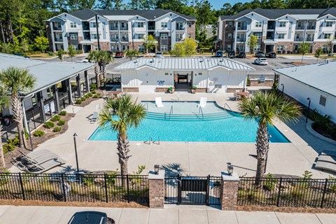 A swimming pool surrounded by palm trees and a black fence.