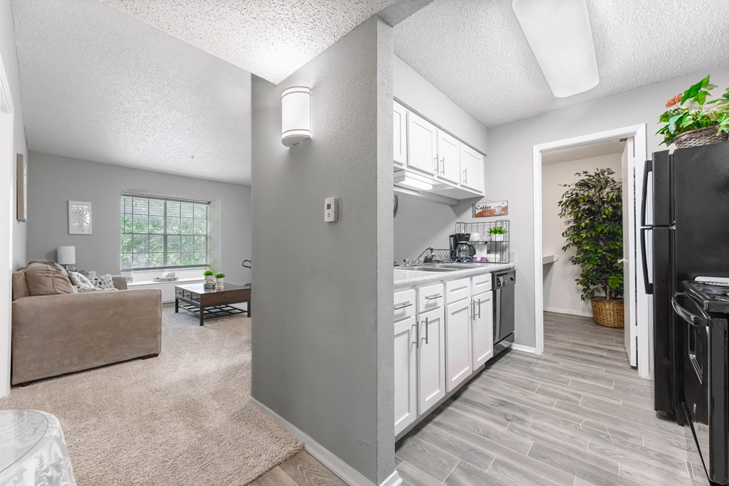 the preserve at ballantyne commons apartment living room and kitchen