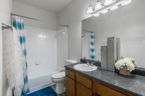 the preserve at ballantyne commons bathroom with sink toilet and shower