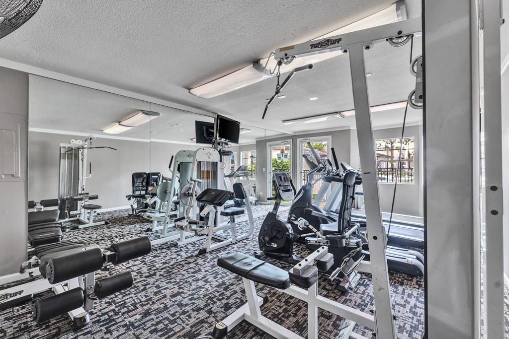 the gym is equipped with a variety of weights and cardio machines