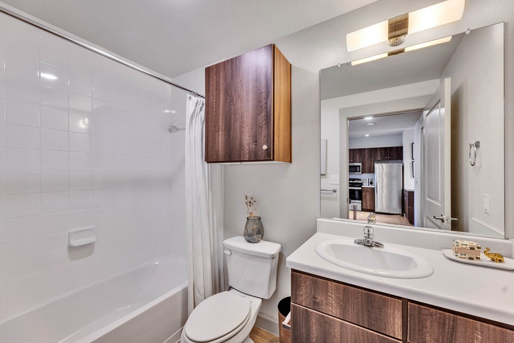 a bathroom with a shower toilet and sink and a mirror