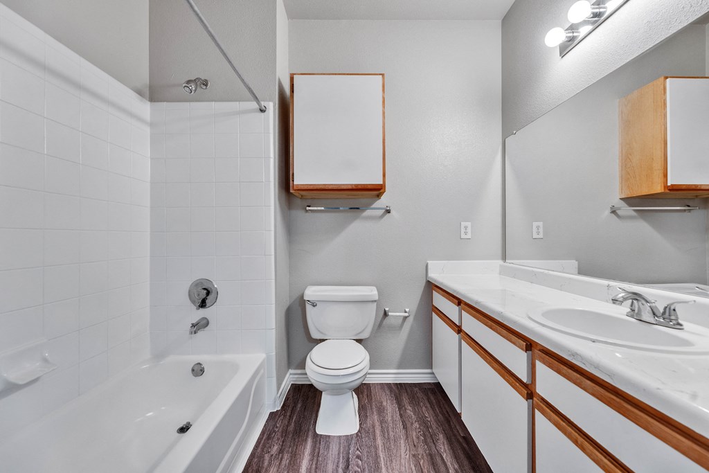 a bathroom with a toilet and a tub and a sink