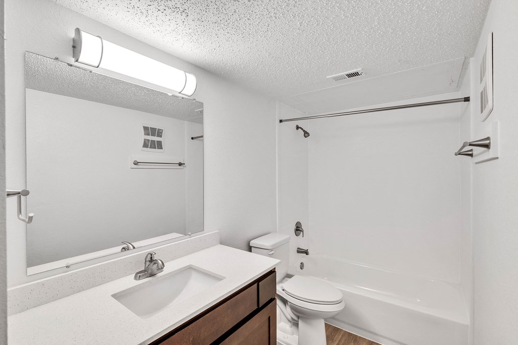 the preserve at ballantyne commons apartment bathroom with sink toilet and tub