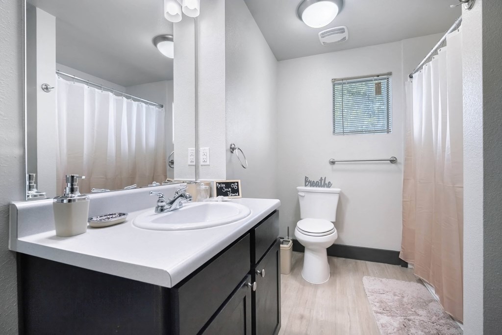 a bathroom with a sink and a toilet