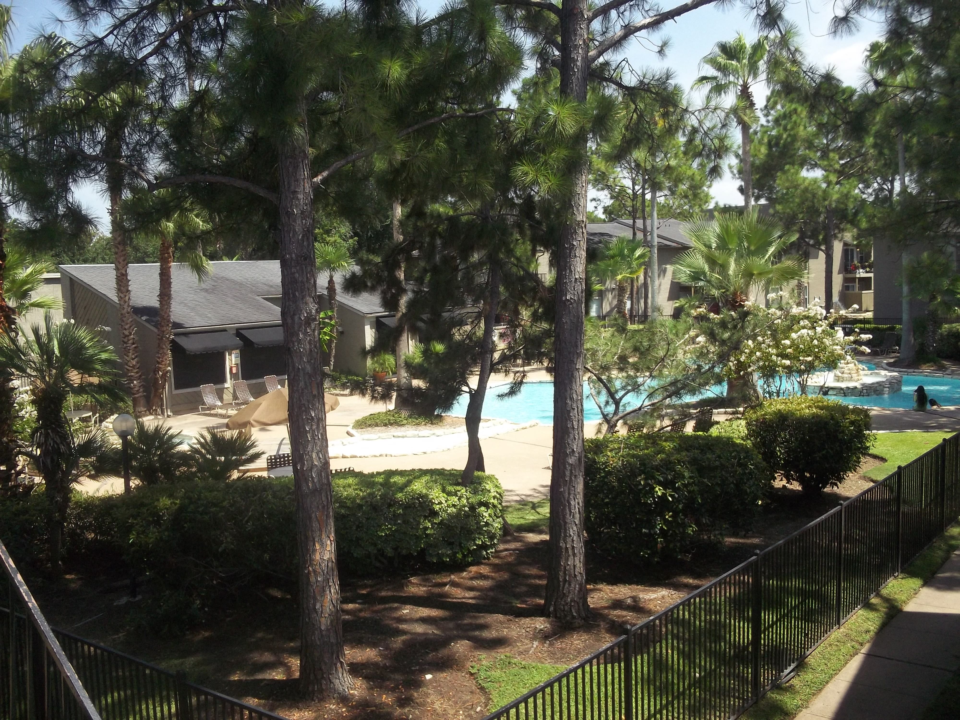 the view of the pool from our house