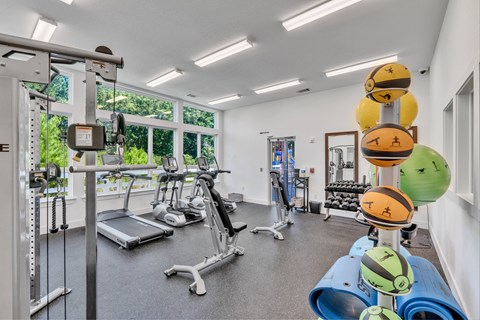 A gym with a variety of equipment including treadmills, weights, and exercise balls.