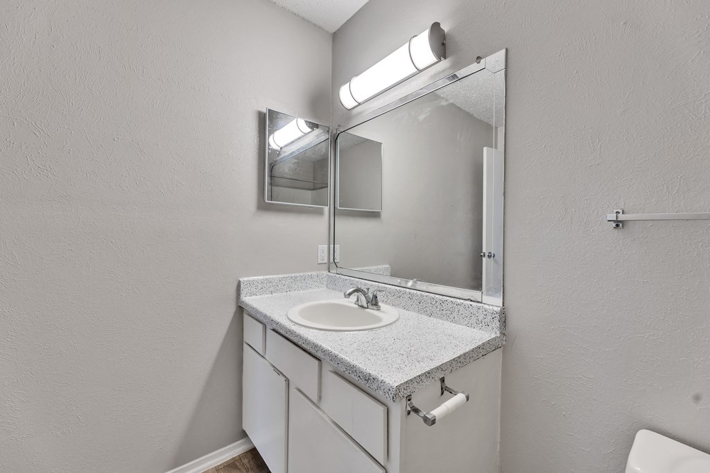 a bathroom with a sink and a mirror