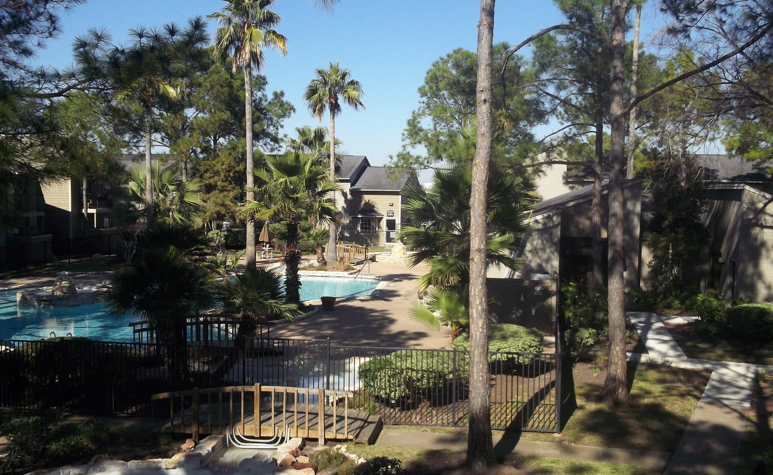 the view of the pool and the house from the tree