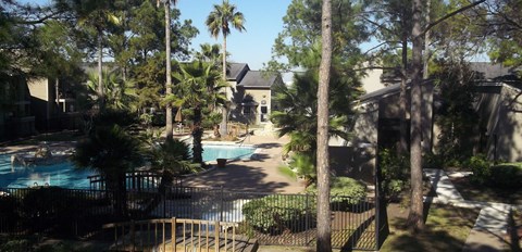 the view of the pool and the house from the tree
